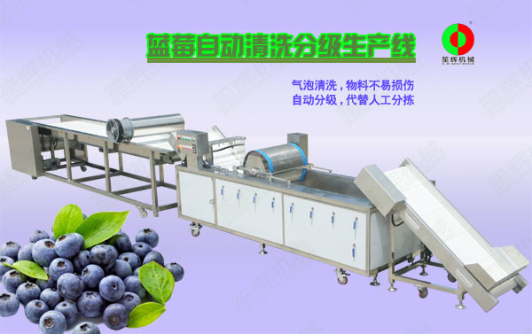 仪陇蓝莓/蔬果全自动清洗分级生产线